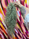 PERUVIAN FORM LIVE Spanish Moss .+*+. Tillandsia Usneoides | Hanging Air Plant | Houseplant | Modern | Beach Décor | Easy Care!