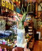 CURLY Caput Medusa Air Plant .+*+. Live Tillandsia | Octopus Plant | Medusa's Head | Live Air Plant | Modern Home Decor