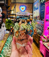 LIVE Air Plant Necklace .+*+. 5 Hemp Cord Colors |Tiny Terracotta Pot | Easy Care No Soil- Gift For Gardeners and Houseplant Lovers