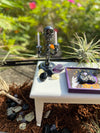 Click to purchase Oct 13 Halloween Coffin Terrarium Make and Take!