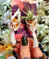 Macrame LIVE Plant Earrings .+*+. Easy Care Air Plants | 4 Colors | Mini Micro Terracotta | Plant Lovers | Plant Jewelry!