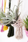 Crochet Pod Hanging Planter for Air Plants, Succulents, Houseplants,  Fiber Wall Art * Macrame Cozy Sweaters for your Plants!