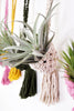 Crochet Pod Hanging Planter for Air Plants, Succulents, Houseplants,  Fiber Wall Art * Macrame Cozy Sweaters for your Plants!