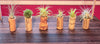 3, 5, 10, or 20 Wine Cork Holders .+*+.  LIVE Small and Mini Tillandsia Air Plants | Wedding Favors, Décor | Bulk Order Options!