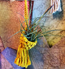 Unique Tillandsia Moonlight Air Plant ,+*+. Beautiful Blooming Cycle .+*+. Easy Care, Modern Home Decor, Healthy Hardy Plant!