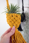 Crochet Pod Hanging Planter for Air Plants, Succulents, Houseplants,  Fiber Wall Art * Macrame Cozy Sweaters for your Plants!