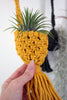 Crochet Pod Hanging Planter for Air Plants, Succulents, Houseplants,  Fiber Wall Art * Macrame Cozy Sweaters for your Plants!