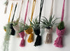 Crochet Pod Hanging Planter for Air Plants, Succulents, Houseplants,  Fiber Wall Art * Macrame Cozy Sweaters for your Plants!