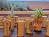 3, 5, 10, or 20 Wine Cork Holders .+*+.  LIVE Small and Mini Tillandsia Air Plants | Wedding Favors, Décor | Bulk Order Options!