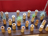 3, 5, 10, or 20 Wine Cork Holders .+*+.  LIVE Small and Mini Tillandsia Air Plants | Wedding Favors, Décor | Bulk Order Options!