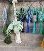 LIVE Air Plant Gift Box .+*+. Small, Medium, & Large Tillandsia + Holders in every order | Easy Care | Gift for Plant Lovers | Gift Wrapped!