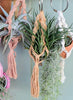 Mini Macramé Hanging Planter .+*+. BRIGHT COLORS | Air Plants | 2" House Plant | 1-2" Pots | Perfect for Car Mirror Décor!