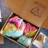 LIVE Air Plant Gift Box .+*+. Small, Medium, & Large Tillandsia + Holders in every order | Easy Care | Gift for Plant Lovers | Gift Wrapped!