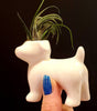 Air Plant Holder .+*+. Dog, Cat, Meditation, Happy Cheering Human, and Dog with Owner | Minimalist | Plant Lover Gift Idea