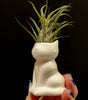 Air Plant Holder .+*+. Dog, Cat, Meditation, Happy Cheering Human, and Dog with Owner | Minimalist | Plant Lover Gift Idea
