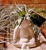 Air Plant Holder .+*+. Dog, Cat, Meditation, Happy Cheering Human, and Dog with Owner | Minimalist | Plant Lover Gift Idea