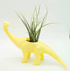 Dinosaur Air Plant Holders .+*+.  Rainbow of Colors! Trending Now | Brachiosaurus & Triceratops Options | Air Plants/Potted Plants!
