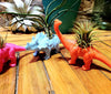 Dinosaur Air Plant Holders .+*+.  Rainbow of Colors! Trending Now | Brachiosaurus & Triceratops Options | Air Plants/Potted Plants!
