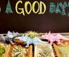 Dinosaur Air Plant Holders .+*+.  Rainbow of Colors! Trending Now | Brachiosaurus & Triceratops Options | Air Plants/Potted Plants!