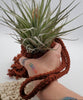 Crochet Pod Hanging Planter for Air Plants, Succulents, Houseplants,  Fiber Wall Art * Macrame Cozy Sweaters for your Plants!