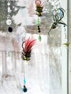Handmade BEADED Air Plant Hanger + Air Plant for Wall .+*+. Window or Fridge | One Of a Kind | Perfect Gift!
