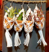 Macrame LIVE Plant Earrings .+*+. Easy Care Air Plants | 4 Colors | Mini Micro Terracotta | Plant Lovers | Plant Jewelry!