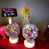 Rainbow Pom Pom Puffball .+*+. Air Plant Holder | 5" Tall | Perfect for Desks, Dorm Rooms, Classrooms, or Bedrooms!