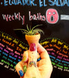 Terracotta POTS for all plants .+*+. Two Sizes | Option with Air Plant | Gift Idea | Easy Care | Rainbow Cupboard!