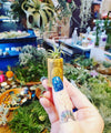 3, 5, 10, or 20 Wine Cork Holders .+*+.  LIVE Small and Mini Tillandsia Air Plants | Wedding Favors, Décor | Bulk Order Options!