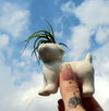 Air Plant Holder .+*+. Dog, Cat, Meditation, Happy Cheering Human, and Dog with Owner | Minimalist | Plant Lover Gift Idea