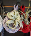 Nest Hanging Planter for Air Plants, Succulents, Houseplants .+*+. Macrame Cozy Nests for your Plants! .+*+.