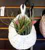 Nest Hanging Planter for Air Plants, Succulents, Houseplants .+*+. Macrame Cozy Nests for your Plants! .+*+.