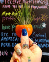 Air Plant Magnetic Holder * 5 Color Options * Options with Plant * Perfect for Kitchen, Dorms, Bedrooms, and MORE!!