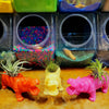 HIPPO Air Plant Holders .+*+.  Rainbow of Colors! Trending Now .+*+. Air or Mini Plant - Succulent Holder!!
