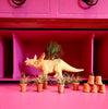 Miniature Micro Air Plant in Terracotta Pot .+*+. Doll House | Terrarium| Fairy Garden | Easy Care | Handmade